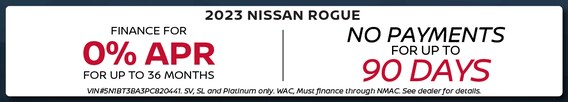 Rogue (2).png