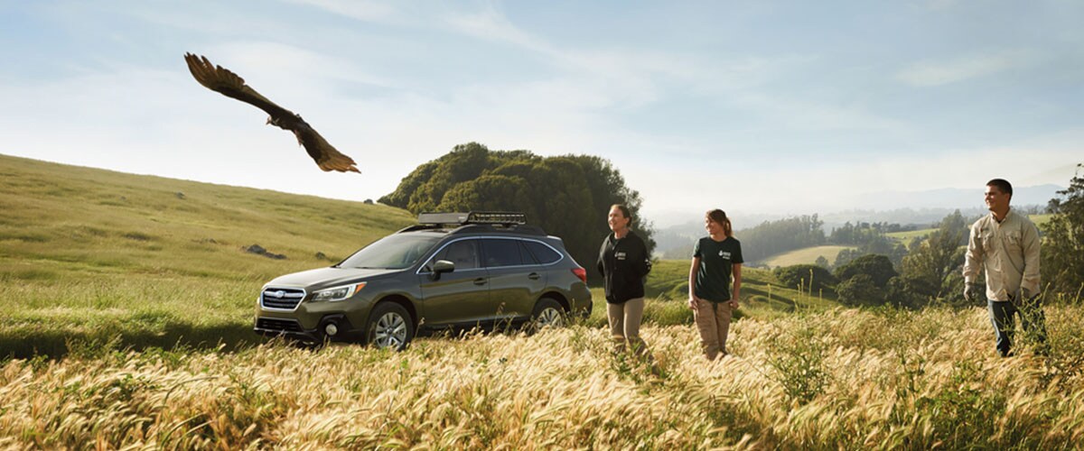 New Subaru outback in memphis tn.jpg