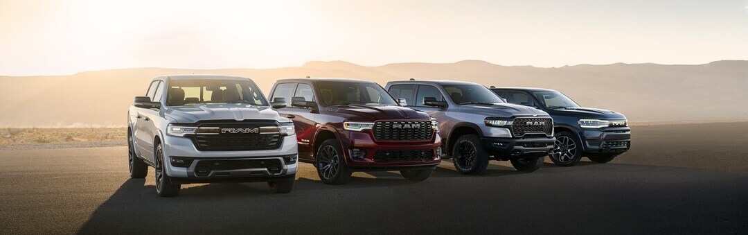 RAM Dealer