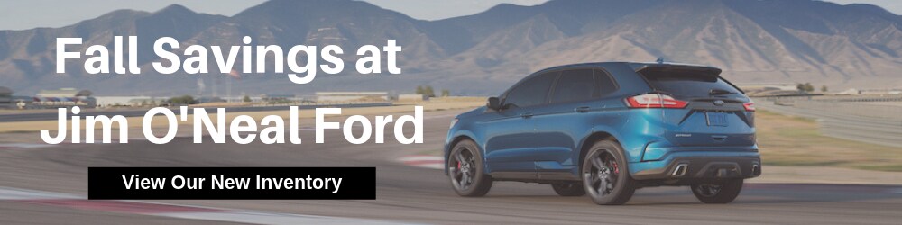 Model Banner (Fall Ford) (1).png