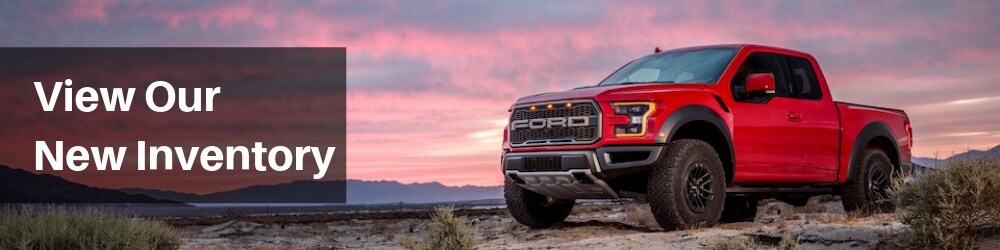 Model Banner (New ford).png