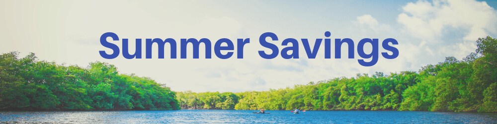 Model Banner (Summer).png