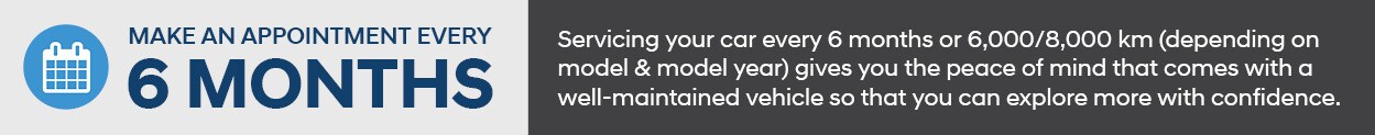 hyundai 6 months.jpg
