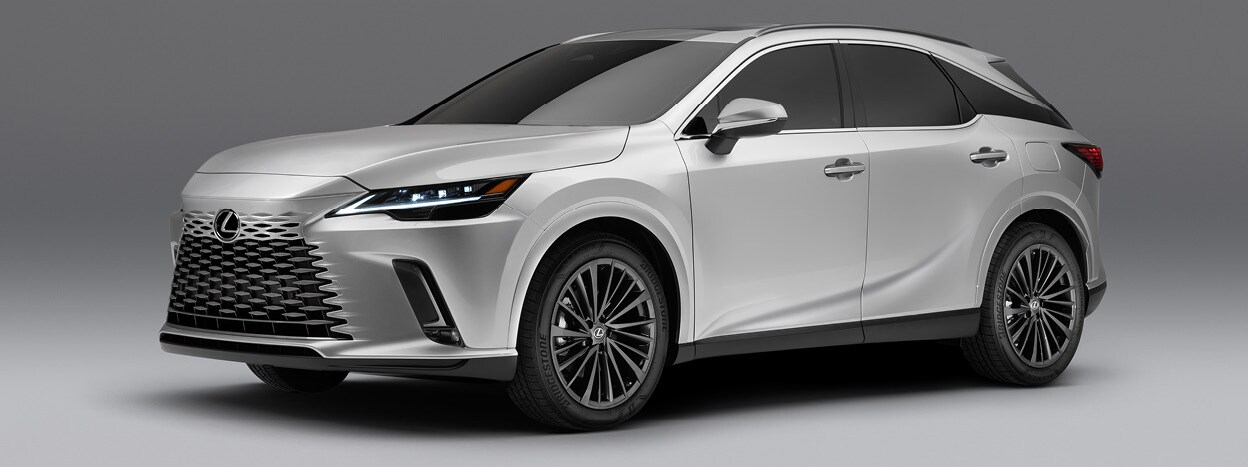 20220606 - Lexus RX landing2.jpg