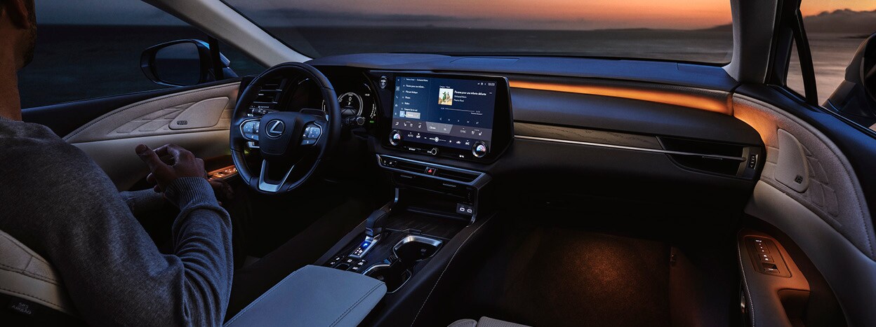 20220606 - Lexus RX landing3.jpg