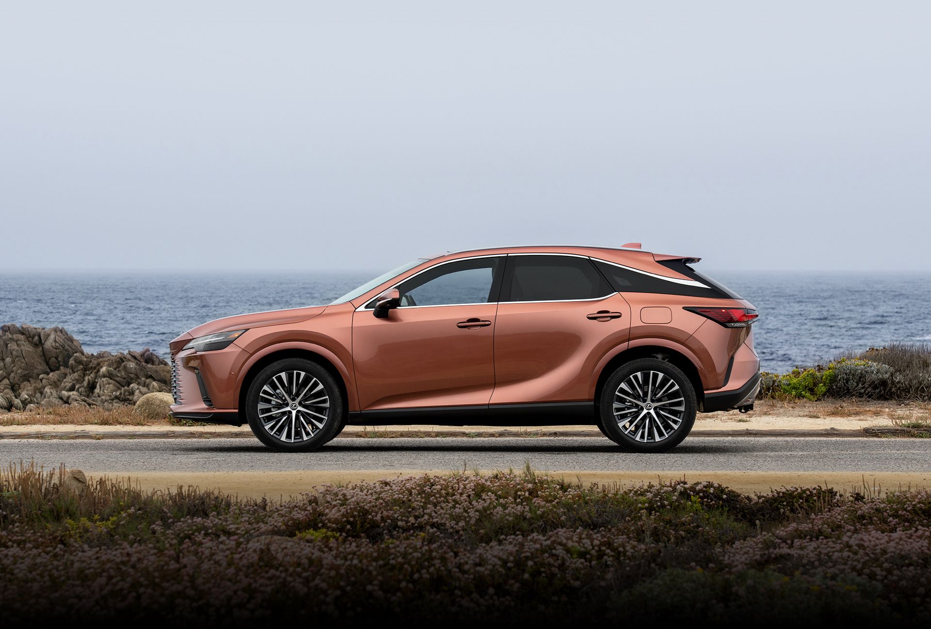 lexus-2023-rx-features-design-rx-350-premium-copper-crest-x2.jpg