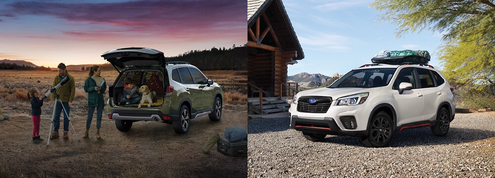 forester landing2.jpg