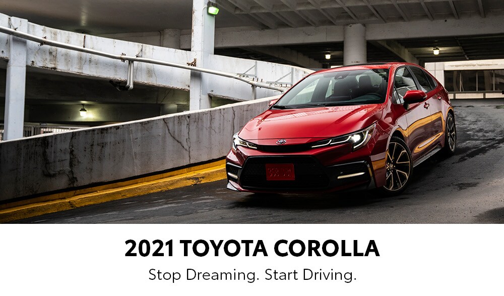 COROLLA_.jpg