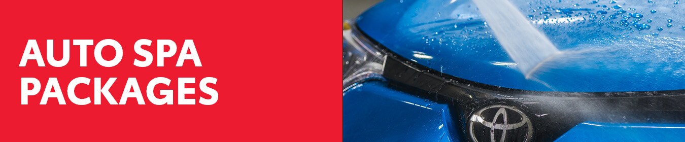 banner_.jpg