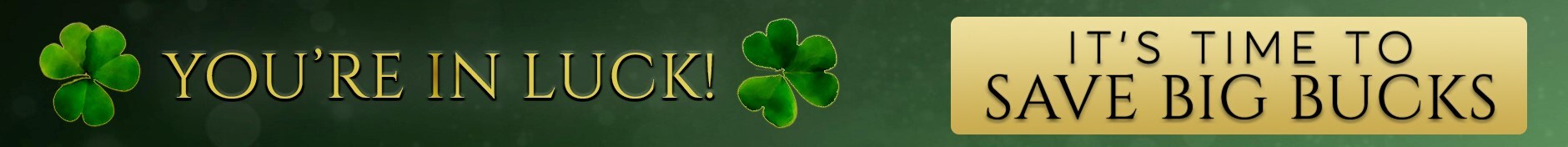 StPaddys warren marco Header.jpg