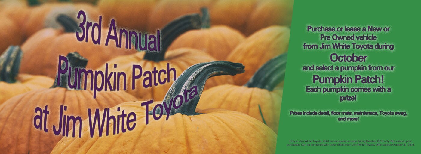 pumpkinpatchbanner.jpg
