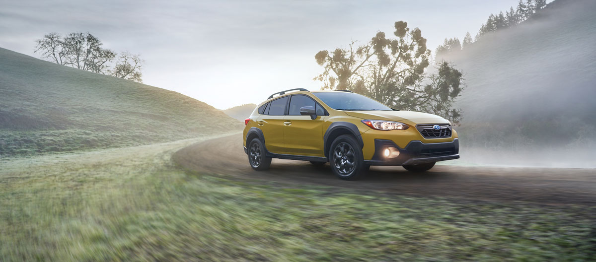 Subaru Crosstrek For Sale in Nederland