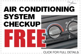Timing Belt