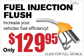 fuel-injection-flush