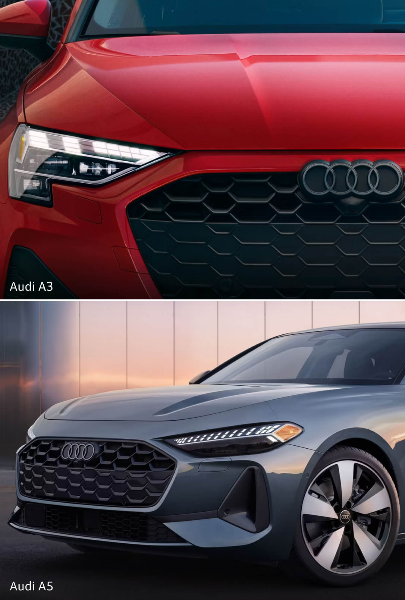 Your New Audi Source Near Wilmington, NC