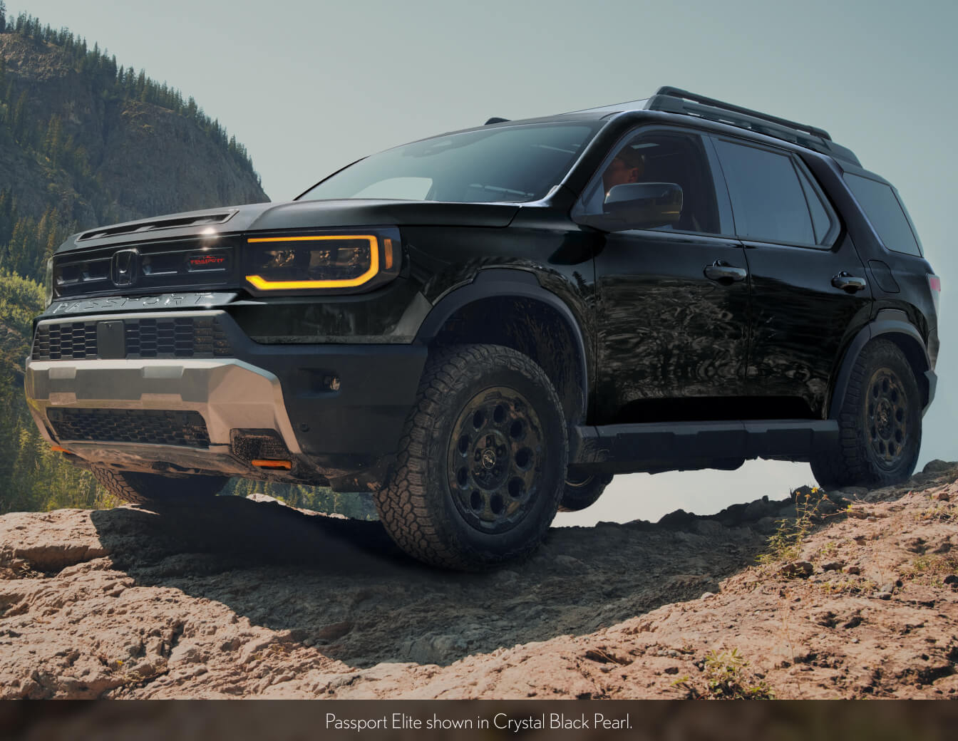 Honda Passport Elite in Crystal Black Pearl
