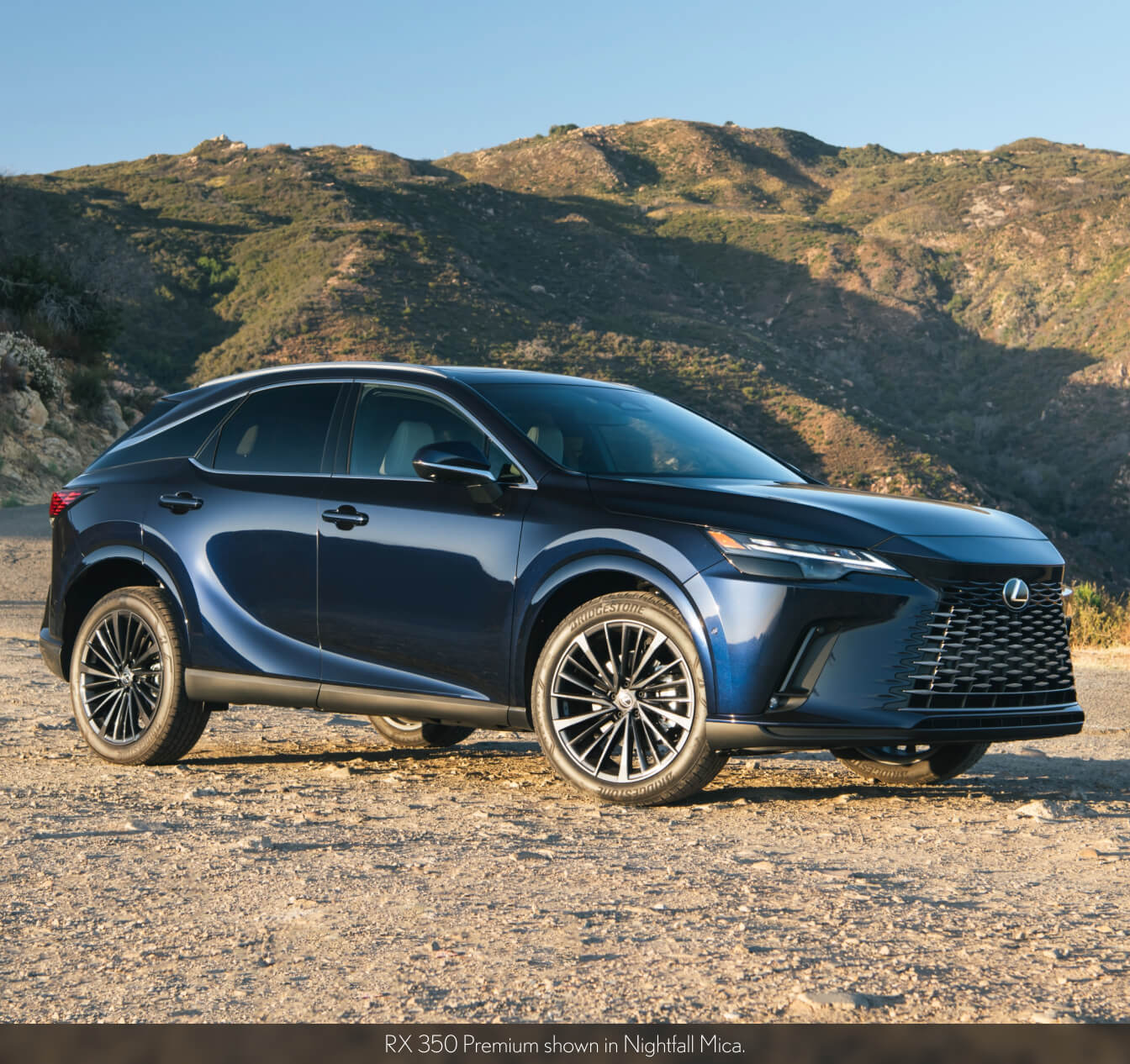 Lexus RX 350 Exterior in Nightfall Mica