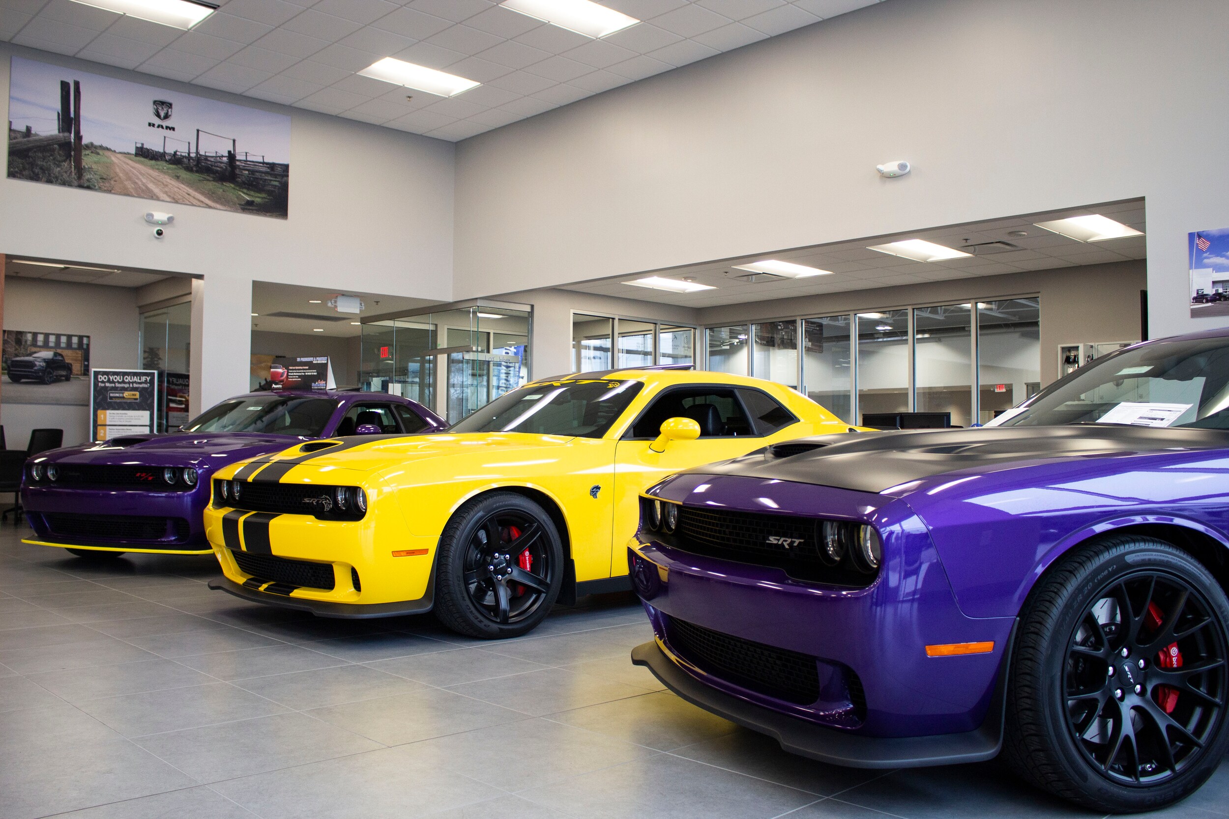 Dodge Challengers Yellow and Purple SRT Scat pack.jpg