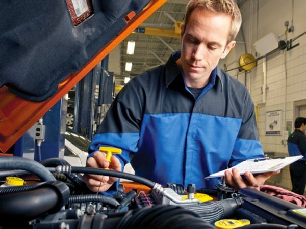 Free multi-point inspection service