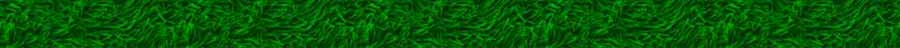 grassbar.jpg