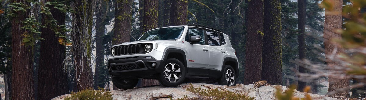 2019-Jeep-Renegade-Trailhawk-SUV-L09 (1).jpg New Jeep Renegade on a rock in the woods