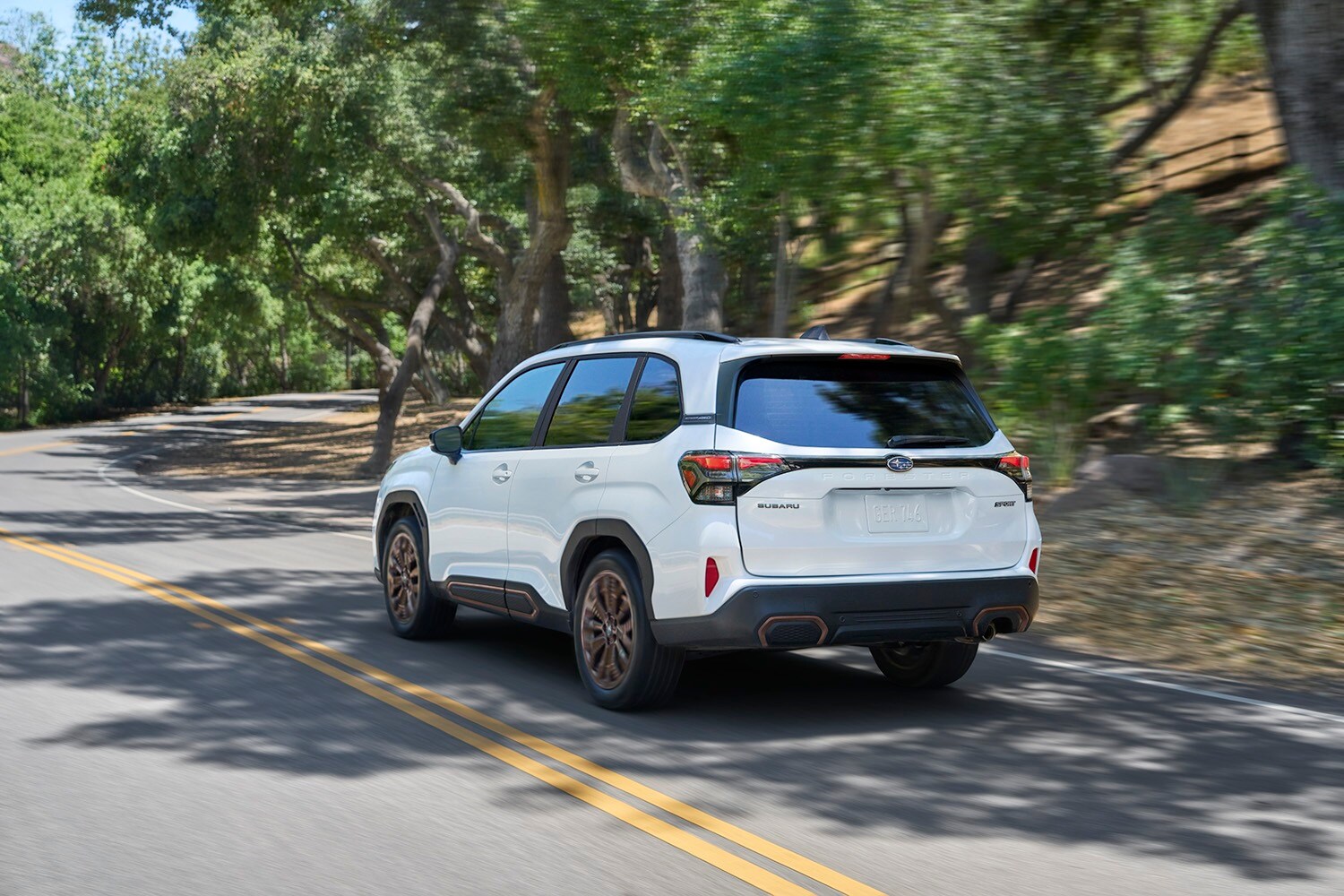 Our Expansive Subaru Inventory