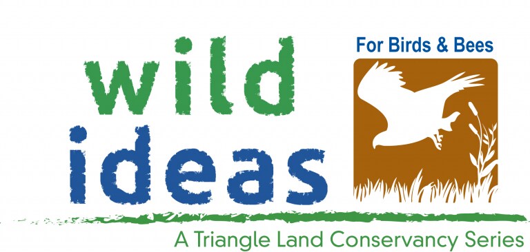 Wild-Ideas-for-Birds-and-Bees-Logo-768x366.png