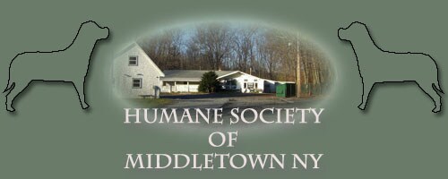 Humane Society of Middletown Picture.jpg