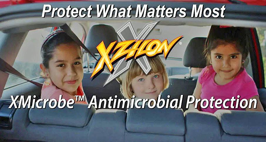 Microbe 1.jpg