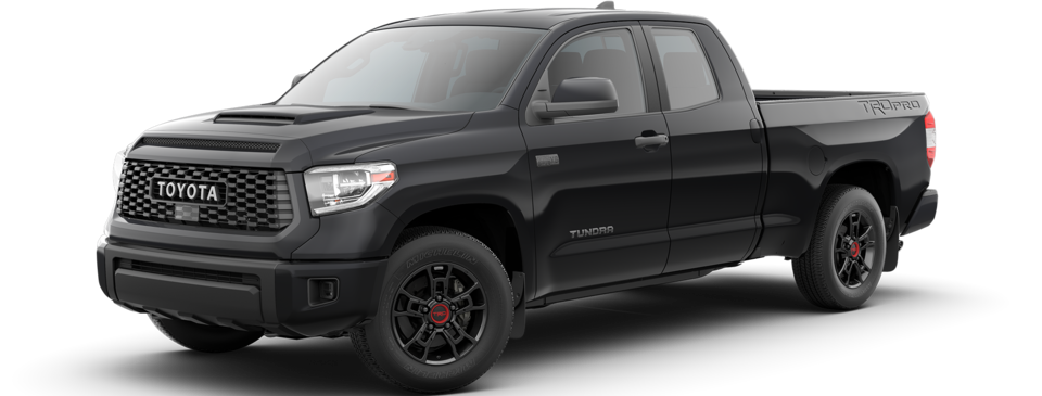 tundra