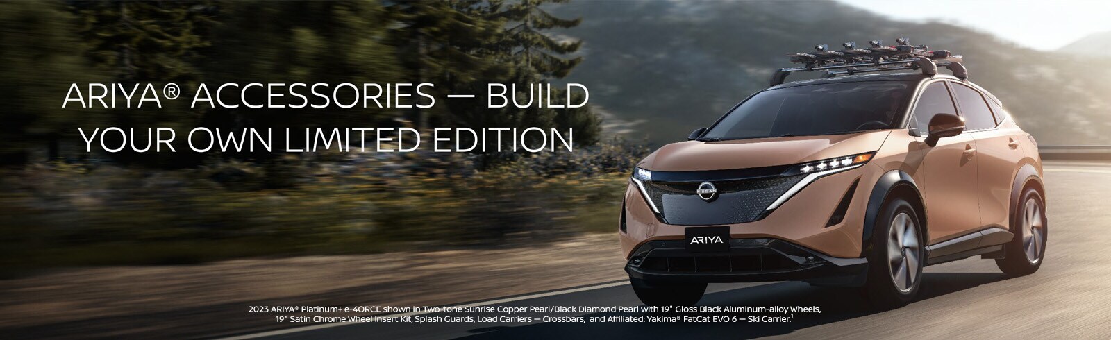 Nissan Ariya Accessories