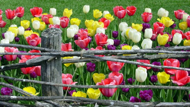 Cox-Arboretum-MetroPark-Dayton-OH.jpg