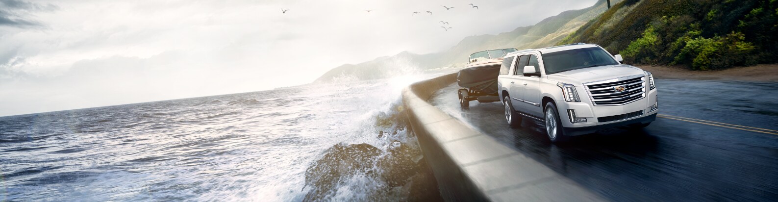White Cadillac driving along side ocean