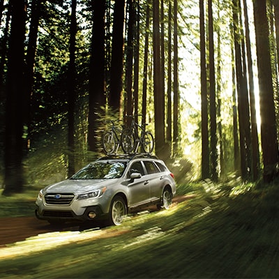 Subaru Outback in forest