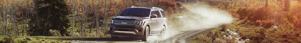 2018-Ford-Expedition-Platinum-SUV-L03 (2).png