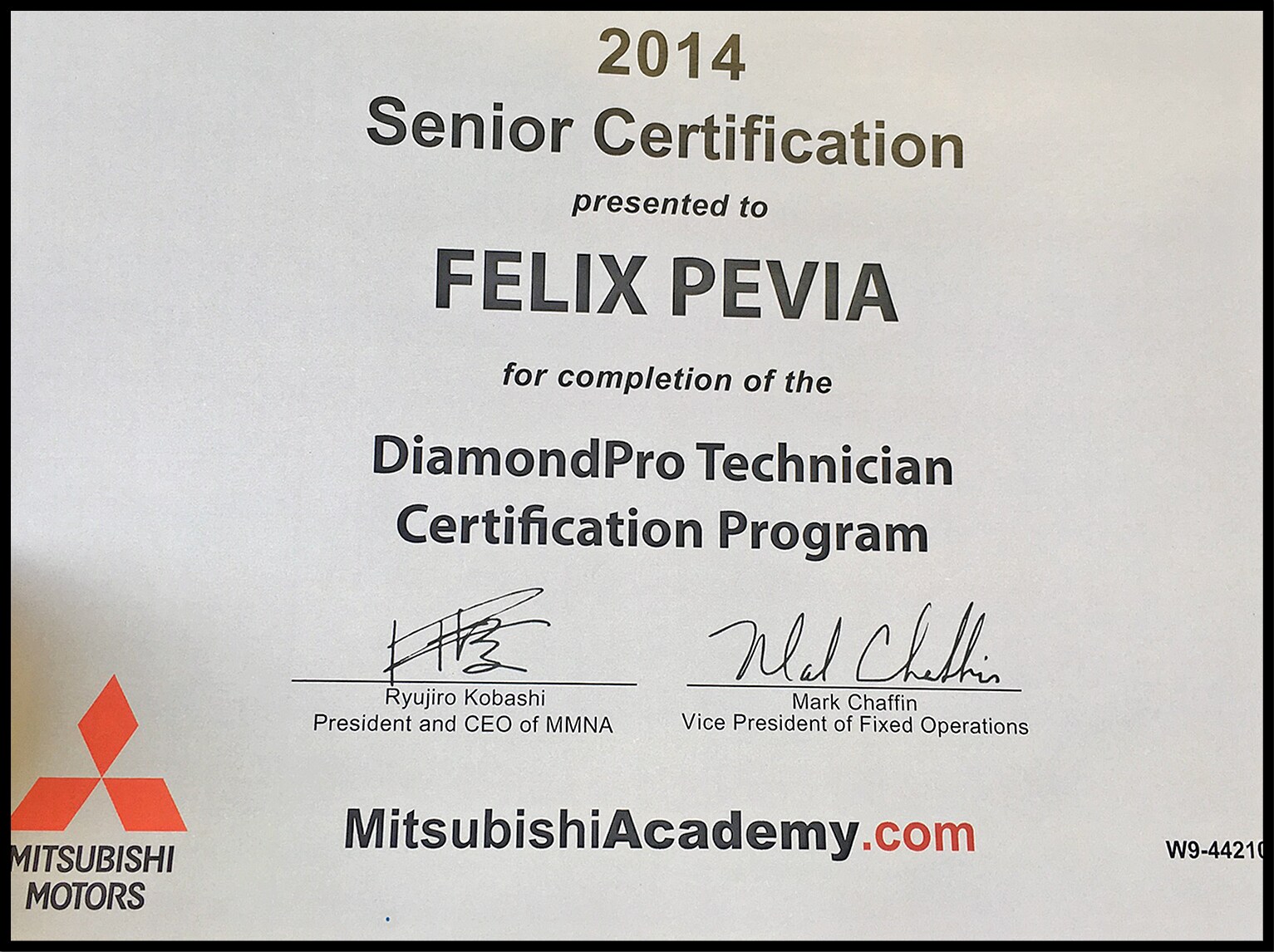 Felix 14 Senior.jpg