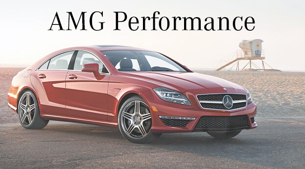 AMG1.png