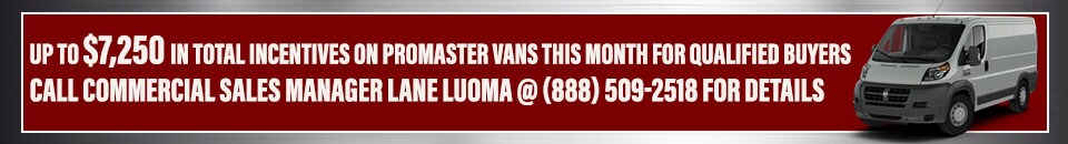 Promaster-Van-Banner.jpg