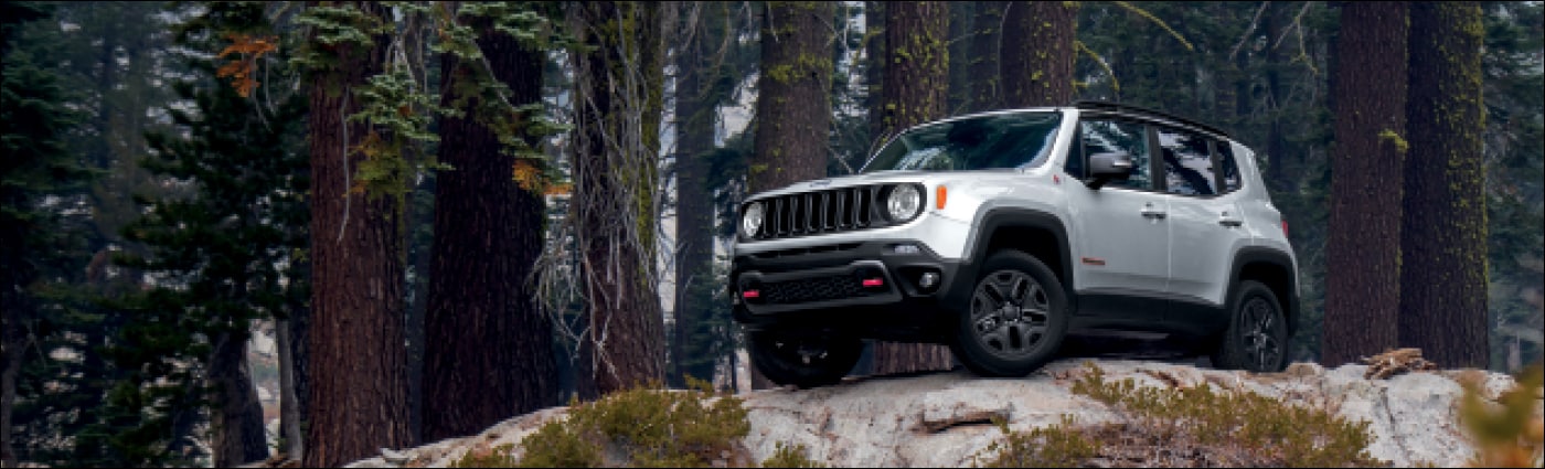 20FCDG-ProductLandingPageBannerGraphics-Renegade.jpg