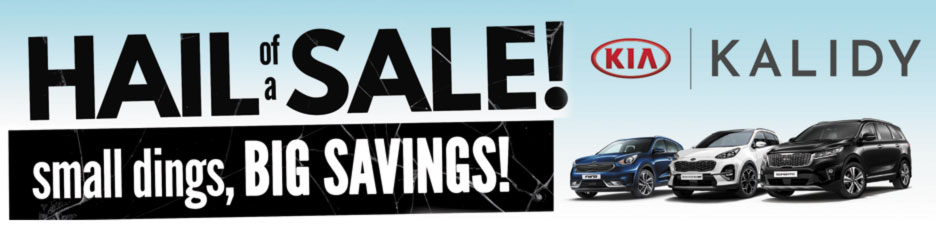 Hail of a Sale - small dings, BIG SAVINGS!