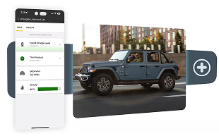 VEHICLE HEALTH REPORT*
