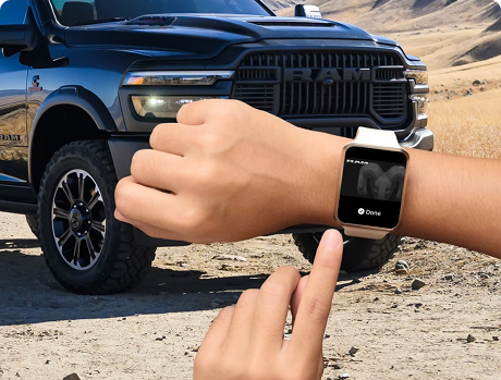 REMOTE VEHICLE START