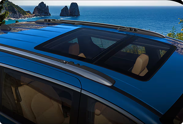 LET THE WHOLE WORLD IN