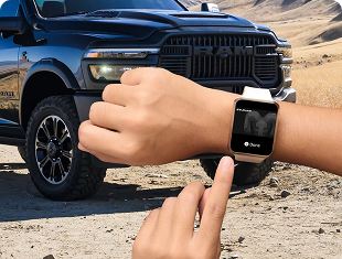 REMOTE VEHICLE START