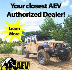 AEV Info - AEV Logo.png