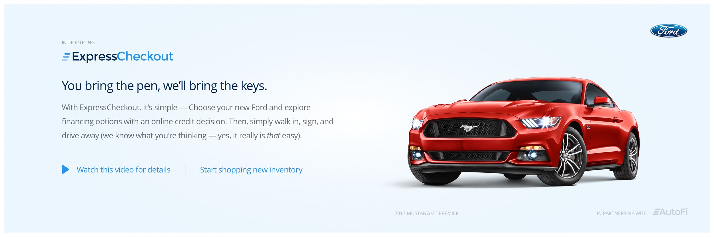 Ford Banner Wide Light (002).png
