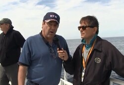 Whale Watch 1 2.png