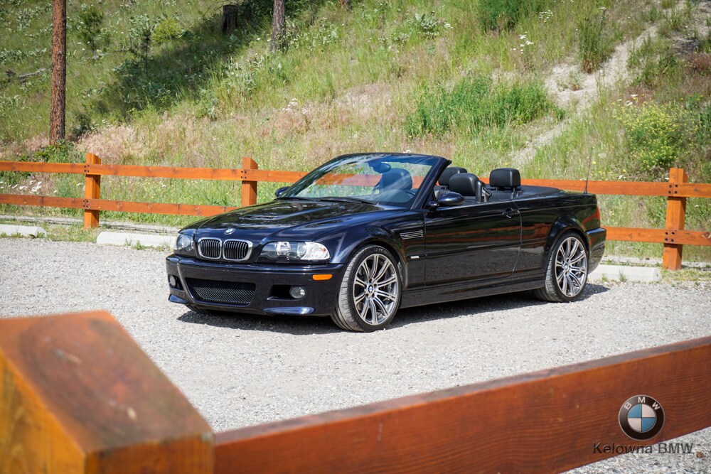 DSC08627.jpg