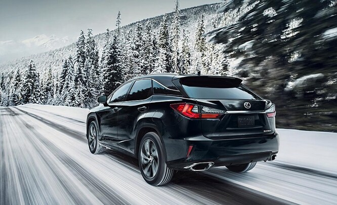 2019 RX 350_small.jpg