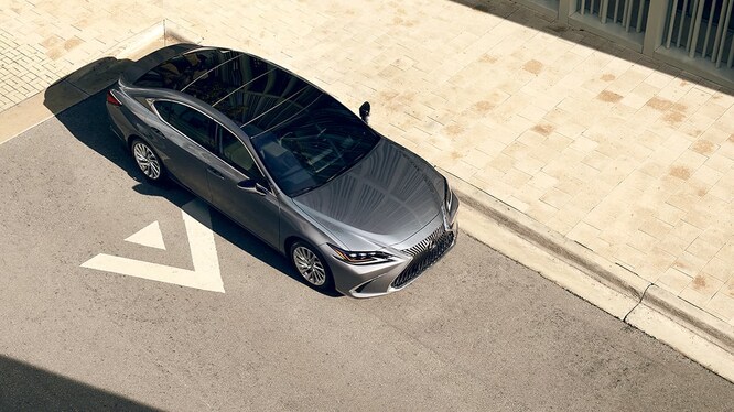 2019 ES 350.jpg